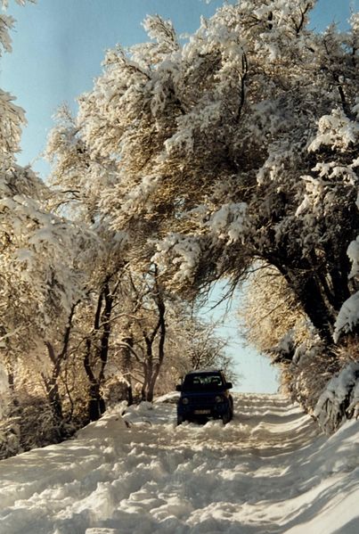 Datei:2001 Winter am Matzenberg 2.jpg