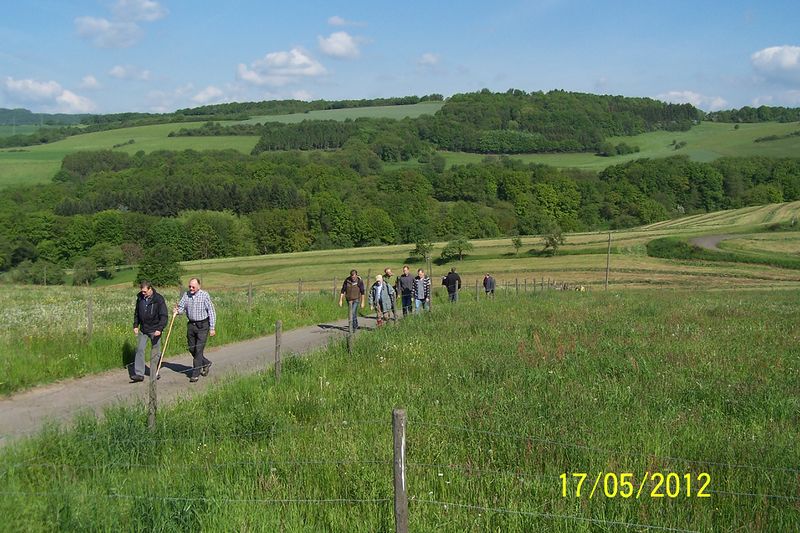 Datei:2012-Gemarkungswanderung 10.jpg