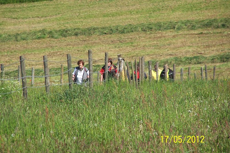 Datei:2012-Gemarkungswanderung 11.jpg