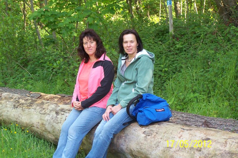 Datei:2012-Gemarkungswanderung 15.jpg