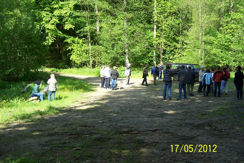 Datei:2012-Gemarkungswanderung 17.jpg