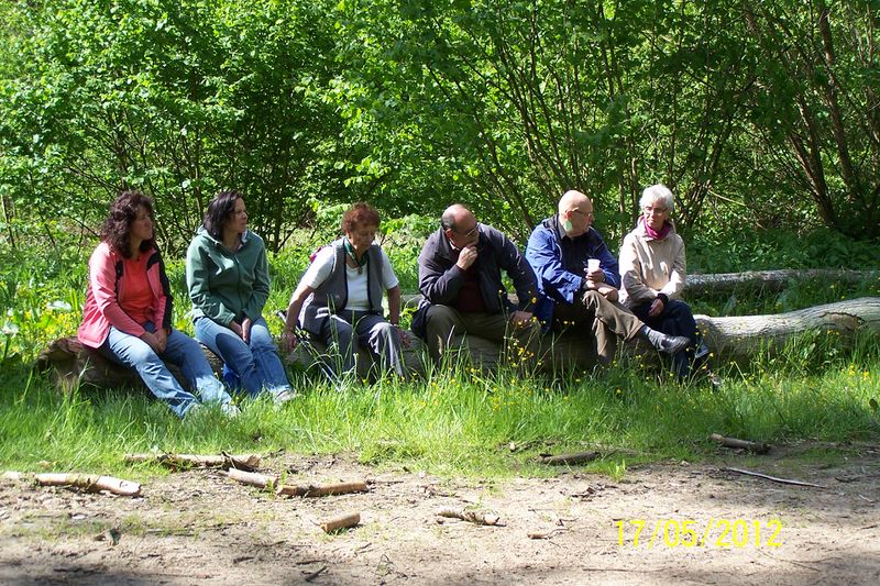 Datei:2012-Gemarkungswanderung 20.jpg