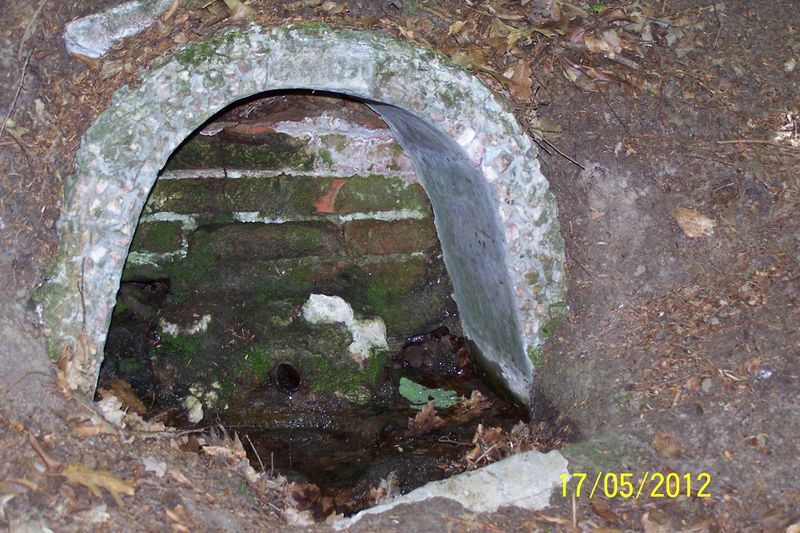 Datei:2012-Gemarkungswanderung 22.jpg