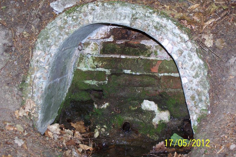 Datei:2012-Gemarkungswanderung 23.jpg