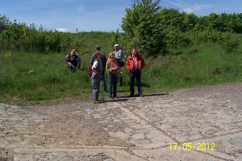 Datei:2012-Gemarkungswanderung 26.jpg