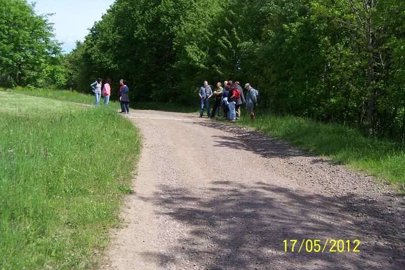 Datei:2012-Gemarkungswanderung 28.jpg