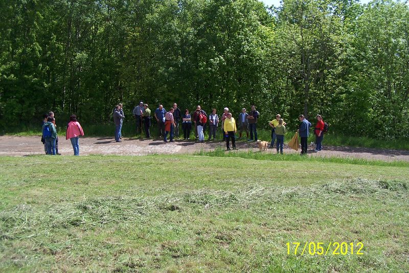 Datei:2012-Gemarkungswanderung 31.jpg