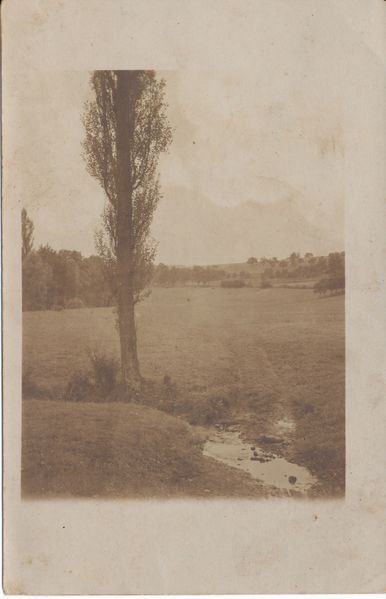 Datei:Blaubacher Wiesental.jpg