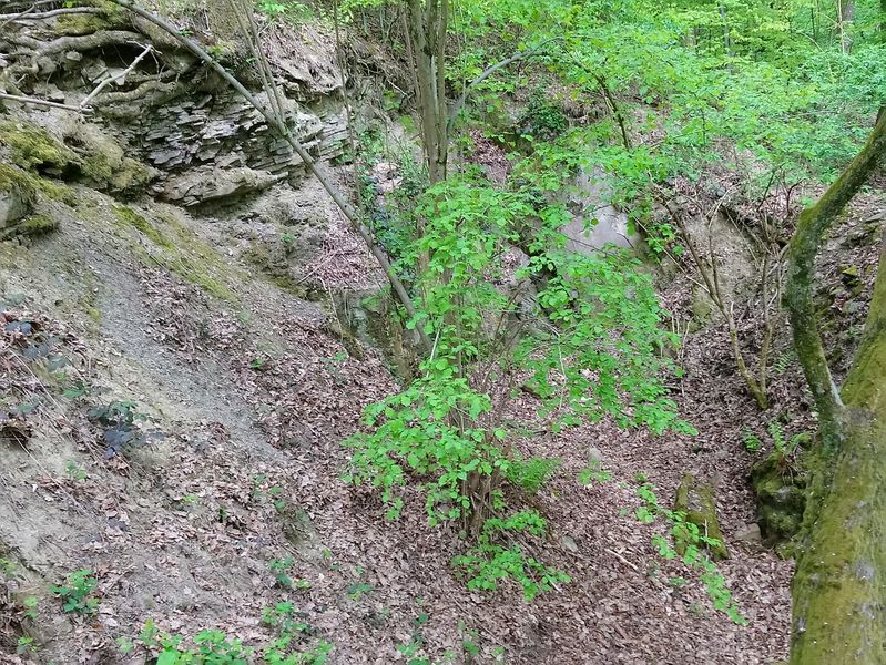 Datei:Steinbruch Hoppler b.jpg