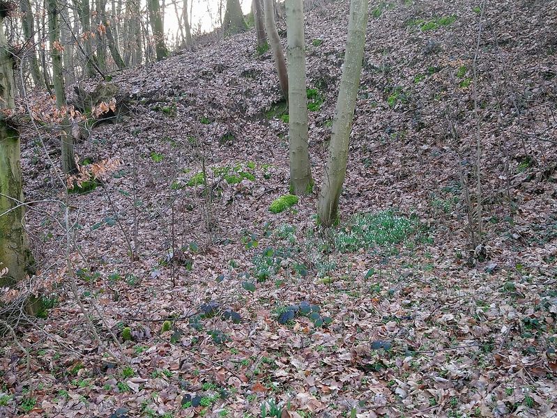 Datei:Steinbruch Reedern.jpg