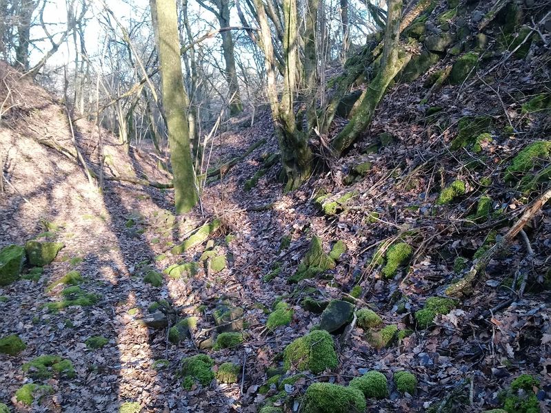 Datei:Steinreiss 1.jpg