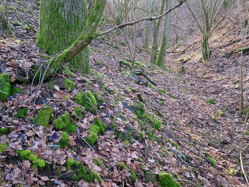 Datei:Steinreiss 2.jpg